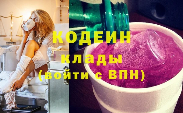 твердый Бородино
