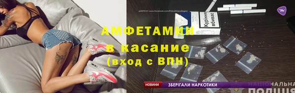 твердый Бородино