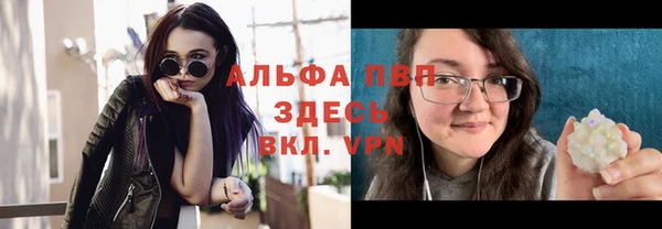 твердый Бородино