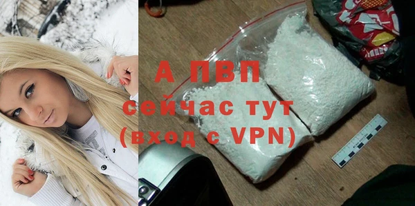 твердый Бородино