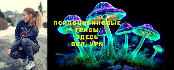 твердый Бородино